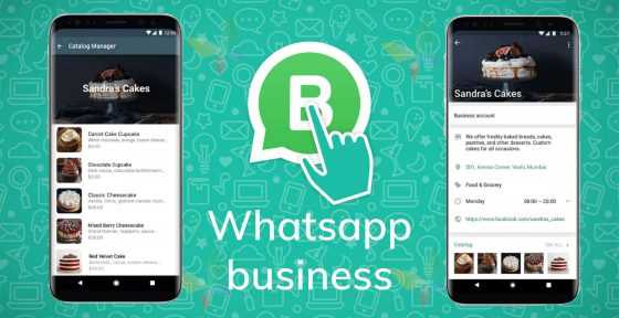 Советы по эффективному использованию WhatsApp для бизнеса